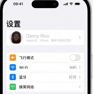 横林镇appleID维修服务iPhone设置中Apple ID显示为灰色无法使用