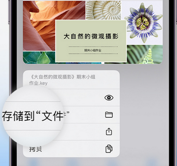 横林镇apple维修中心分享iPhone文件应用中存储和找到下载文件