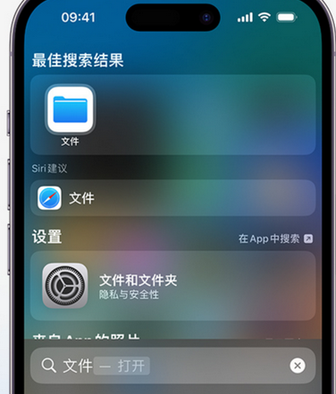 横林镇apple维修中心分享iPhone文件应用中存储和找到下载文件