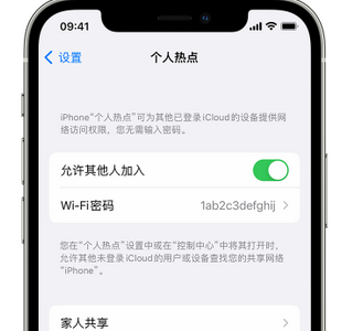 横林镇apple服务站点分享iPhone上个人热点丢失了怎么办