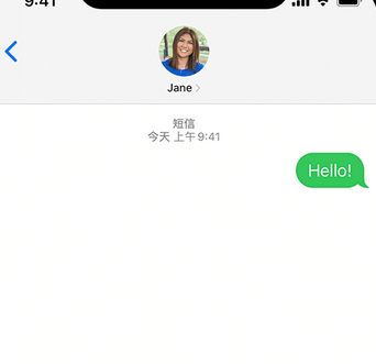 横林镇apple维修iPhone上无法正常发送iMessage信息