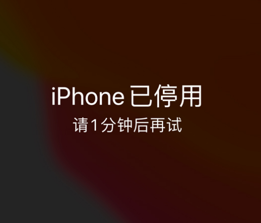 横林镇苹果手机维修分享:iPhone 显示“不可用”或“已停用”怎么办？还能保留数据吗？ 