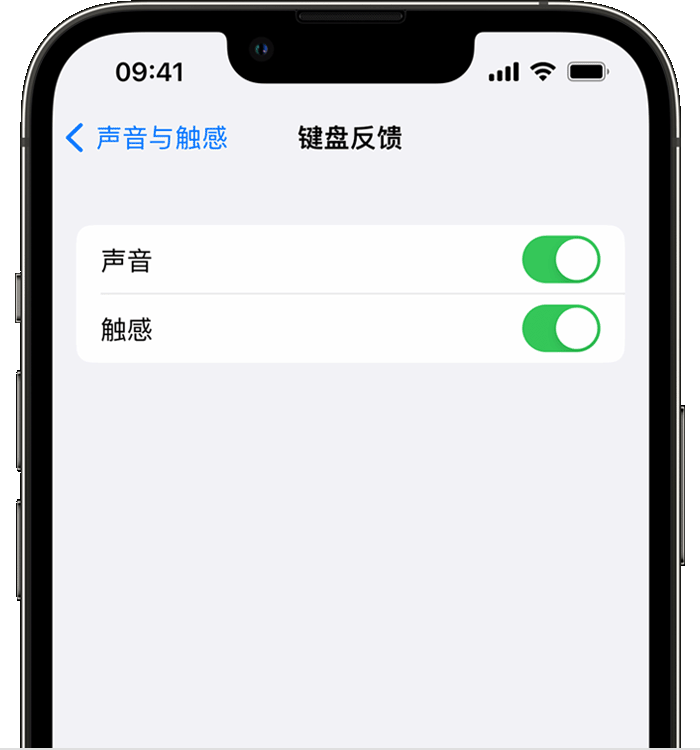 横林镇苹果14维修店分享如何在 iPhone 14 机型中使用触感键盘 