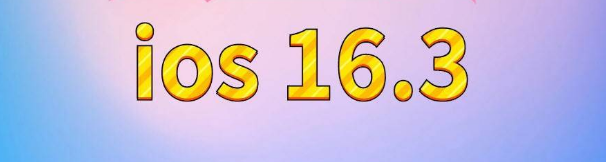 横林镇苹果服务网点分享苹果iOS16.3升级反馈汇总 