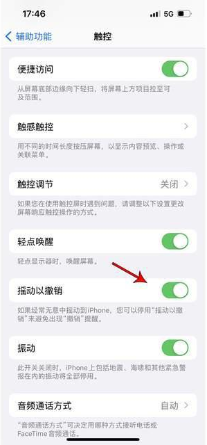 横林镇苹果手机维修分享iPhone手机如何设置摇一摇删除文字 